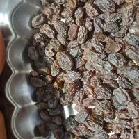 کشمش آفتابی  ارگانیک ممتاز|خوردنی و آشامیدنی|قزوین, |دیوار