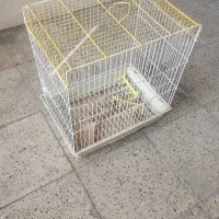 قفس پرنده