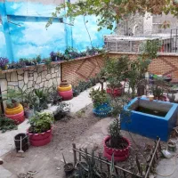 ۹۵متر/۸۰متر حیات اختصاصی/مناسب خانواده|اجارهٔ آپارتمان|تهران, مجیدیه|دیوار