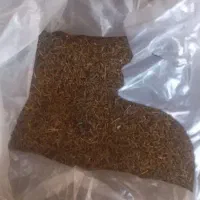 زیره اصل کوهی