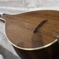 سه تارحرفه ای کاسه کوچک|سازهای سنتی|تهران, نیاوران|دیوار