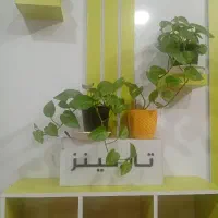 فروش و واگذاری فست فود با مشتری ثابت