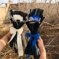 تک شاخه  اقتصادی برای روز پدر