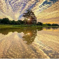 امید به زندگی