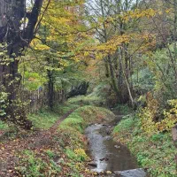 معاوضه-زمین-تجاری-مشهد-با-ویلا-یا-زمین-لاهیجان