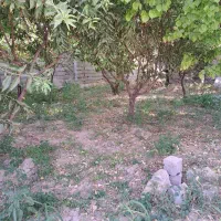 باغچه ۲۰۰متری فول کامل دهحسن|فروش خانه و ویلا|رباط‌کریم, ده‌حسن|دیوار