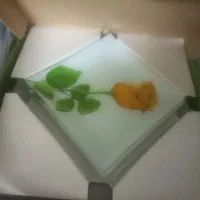 ظروف شیشه ای