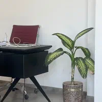 نیروی خدماتی برای دفتر اداری