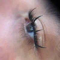 مژه|خدمات آرایشگری و زیبایی|رشت, لاکانی|دیوار