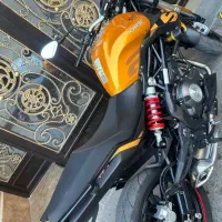 بنلی جفت گلد 300