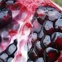 انار دونه سیاه|حراج|بردسیر, |دیوار