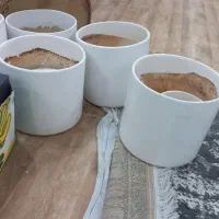 گلدان سرامیکی بزرگ