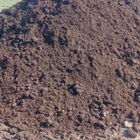 کود گاو و حیوون