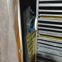 میوه خشک کن تمام اتومات