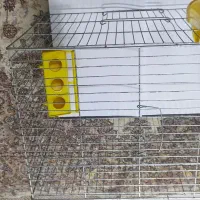 قفس کوچک وبزرگ پرنده جوجه پران|لوازم جانبی حیوانات|تهران, دهقان|دیوار