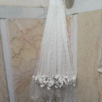 تعداد تور پرتابی یا ماش یا سالک