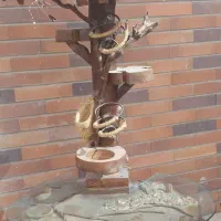 میز بار میز کافی بار|بوفه، ویترین، کنسول|شاهینشهر, فدک|دیوار