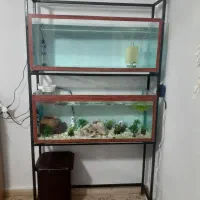 اکواریوم وکلی وسایل|ماهی|ماهدشت, |دیوار