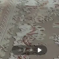 فرش ماشینی گل برجسته|فرش|قدس, شهر‌قدس|دیوار