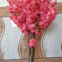 درختچه مصنوعی بابا آدم لمسی|گل مصنوعی|رامشیر, |دیوار