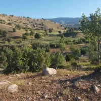 سر کارگری زمین کشاورزی