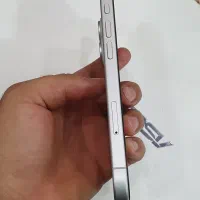 آیفون 16 (128G)|موبایل|یزد, |دیوار