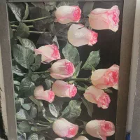 تابلو|تابلو، نقاشی، عکس|گرگان, |دیوار