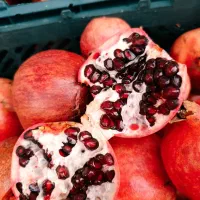 انار|گل و گیاه طبیعی|فورگ, |دیوار