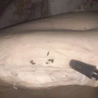 سمپاشی ساس،سوسک و...با ضمانت کتبی|خدمات نظافت|کرج, مصباح|دیوار