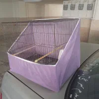 قفس پرنده
