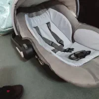 نو مارک دلیجان