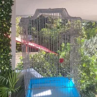 قفس بزرگ با لوازم جانبی