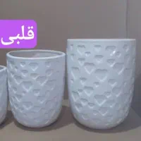 گلفروشی بهشت .ماهشهر|گل و گیاه طبیعی|بندر ماهشهر, |دیوار