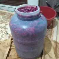 ترشی خانگی|خوردنی و آشامیدنی|اسلامشهر, شهرک مهدیه|دیوار