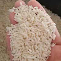 برنج هاشمی درجه یک