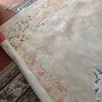 فرش ماهریس|فرش|شاندیز, |دیوار