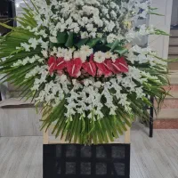 تاج گل