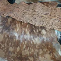 دیواری کوب،رومیزی،پوست،رو داشتبردی|مجسمه، تندیس، ماکت|تهران, خاک سفید|دیوار