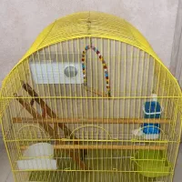 قفس پرنده