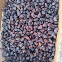 خرمای بریم