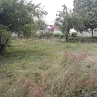 فروش زمین|فروش زمین و ملک کلنگی|سنگر, |دیوار