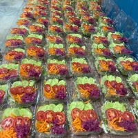 نیروی خدماتی جهت کار در اشپزخانه