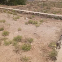 فروش زمین ۱۲۰۰ متر|فروش زمین و ملک کلنگی|اهواز, فدک|دیوار
