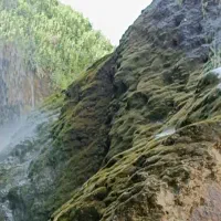 نیازمند کارگر ساده