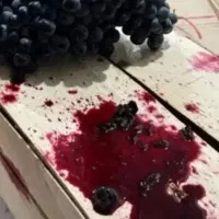 سیاه اصل دیمی کردستان