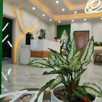 لیزر موهای زائد بدن همراه با روشن کنندگی بدن