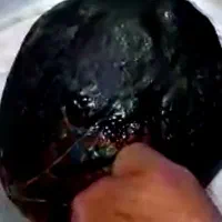 سنگ پاد زهر مرحم