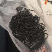 ریسه در حدنو