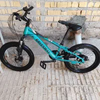 دوچرخه 20مارک گرین وی