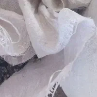 .شیوانیا های خانه کبوتر پرشده از کود در خدمتم